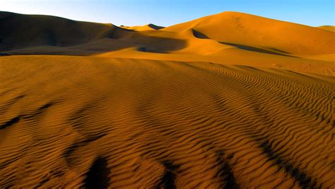 An ecological consultant treks through the Gobi Desert