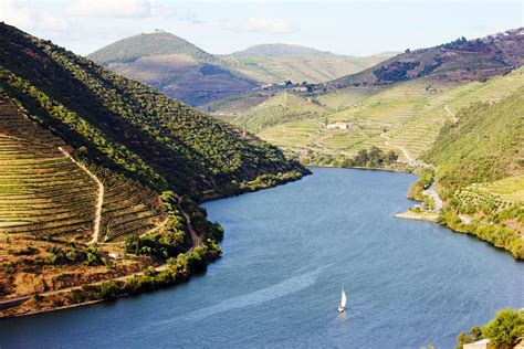 Douro Valley, Portugal | 7 Best Wine Travel Experiences of 2020 | 7 ...