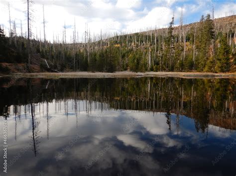 Lake Laka with floating islands on the surface is the smallest ...