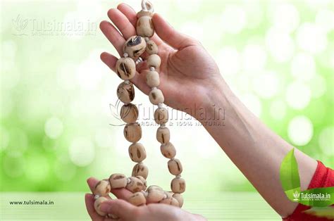 Benefits of Tulsi Japa Mala Meditation - Tulsi Mala