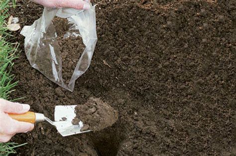 How to test soil pH