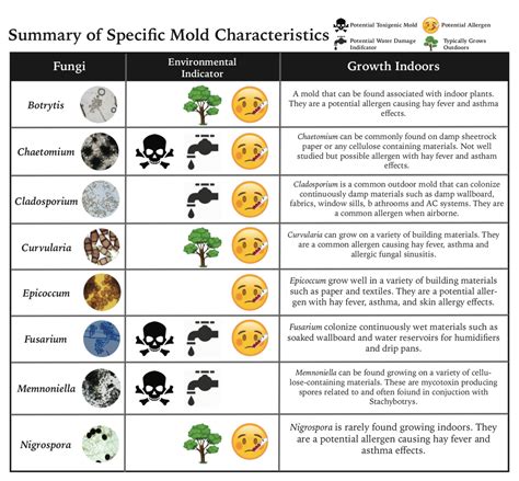 Types of Mold | Miami Mold Specialists | Miami Mold