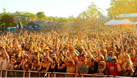 Just one more sleep until the Big Pineapple Music Festival | Sunshine ...