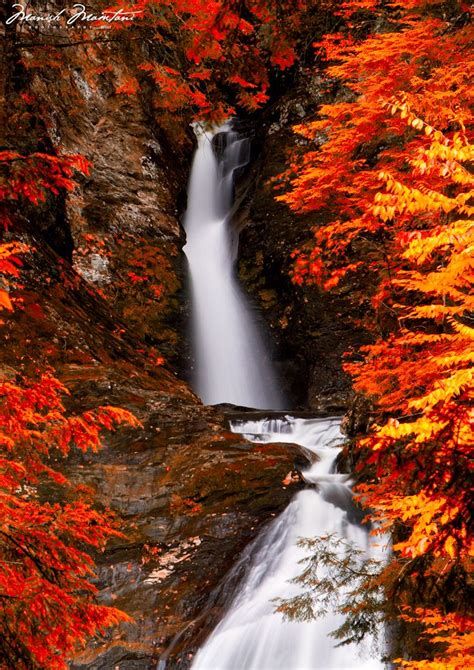 The Fall Colors | Autumn scenery, Beautiful nature, Waterfall scenery