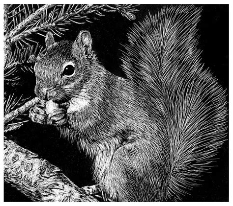 Scratch Art Awesomeness on Pinterest | Scratch Art, Scratchboard Art