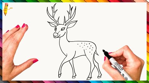 Simple Deer Drawing Easy For Kids - michaeljacksonopowiadania