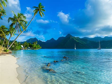 Top 5 Moorea Beaches: What are the best beaches in Moorea?