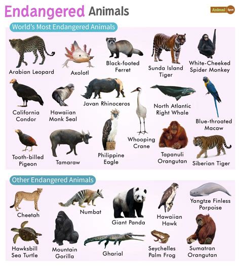 Recently Extinct Animals 2023