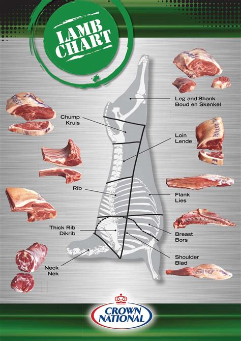 Lamb Cuts Of Meat Chart