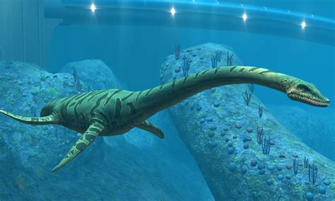 Image result for Elasmosaurus | Loch ness monster, Marine animals ...