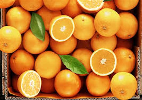 Organic FL Oranges by the pound | Florida Fields to Forks