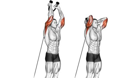 How To Do Overhead Cable Tricep Extension Proper