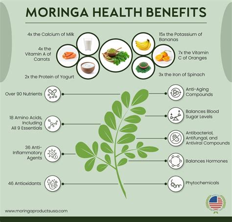 Can Moringa Heal Your Body? | Moringa benefits, Moringa, Moringa powder