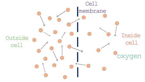 Diffusion Diagram