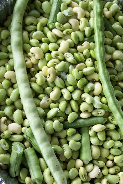 Of Cowpeas, Butterbeans and Okra: yum - Garden.org