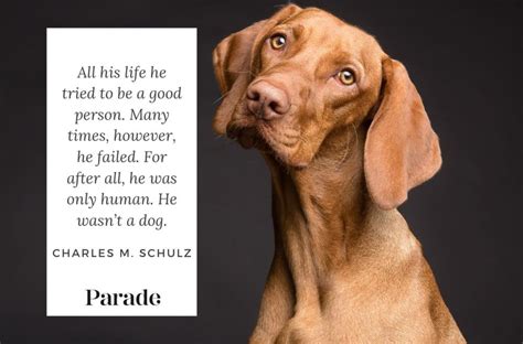 280 Best Dog Quotes About Their Love & Loyalty - Parade Pets