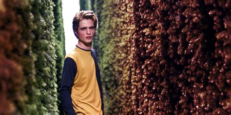 Harry Potter: Does Cedric Diggory Deserve All the Praise He Gets?