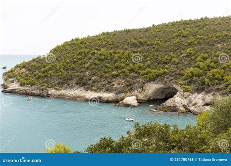 Sea Caves on the Gargano Promontory. Stock Photo - Image of vegetation ...