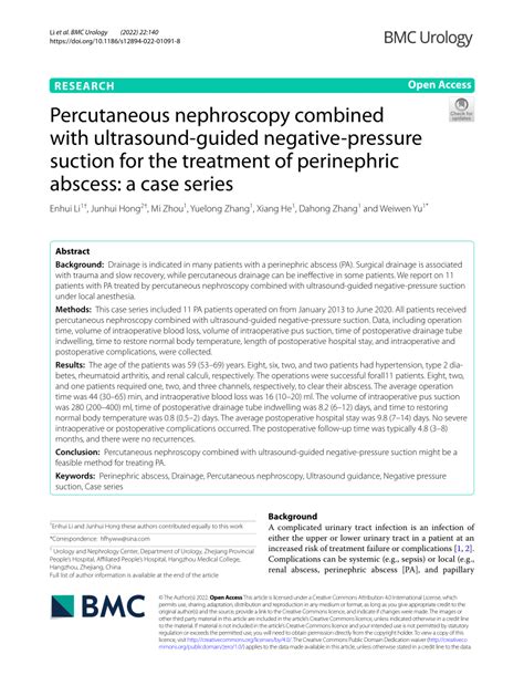 (PDF) Percutaneous nephroscopy combined with ultrasound-guided negative ...