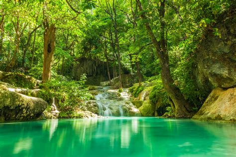 summer, Forest, Lake, Stream, Waterfall, Rocks, Trees, Greenery ...