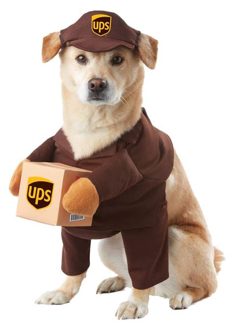 UPS Dog Costume X-Small- Buy Online in United Arab Emirates at ...