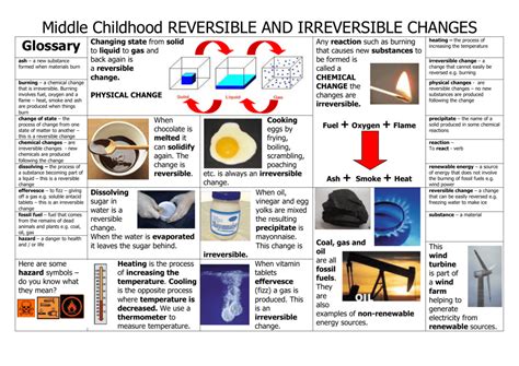 ReversIble and Irreversible Changes