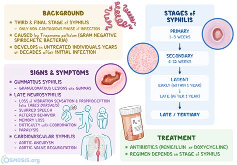 Tertiary Syphilis: What Is It, Causes, Treatment | Osmosis