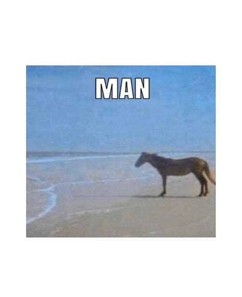 Man Horse Ocean Meme - Captions Quotes