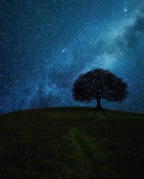 3840x2160px, 4K free download | Tree, hill, starry sky, stars, night ...