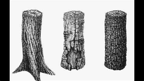 How To Draw Tree Bark Texture