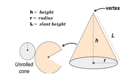 Lateral Surface Area of a Cone | Definition, Examples, Concepts ...