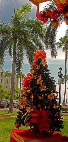 Christmas in the Tropics ~ Aruba Beachy Christmas, Tropical Christmas ...