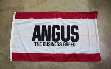 Accessories – The Angus Brand