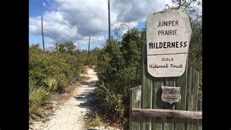 The Florida Trail - Ocala National Forest - Juniper Springs to Hidden ...