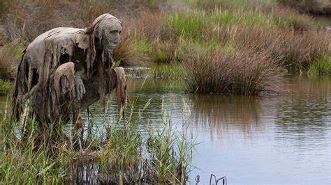 A Vintage Halloween • womansart: Swamp creatures in a French nature ...