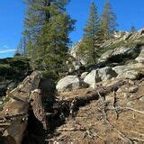 Emigrant Wilderness Loop Trail - California | AllTrails