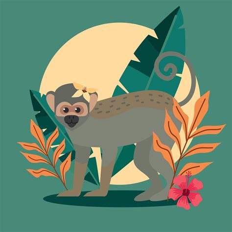 titi monkey in frame 11375775 Vector Art at Vecteezy