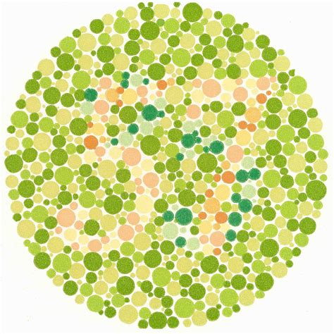 10 Images To Test The Color Blind - Facts Verse