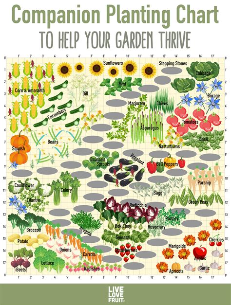 Use This Companion Planting Chart to Help Your Garden Thrive - Live ...