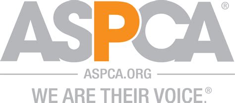 Aspca Logo Square - Aspca We Are Their Voice See - Free Transparent PNG ...