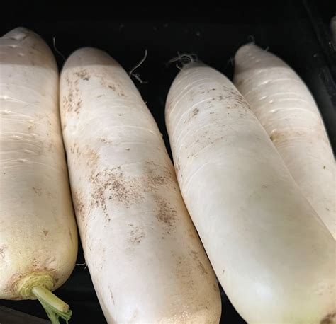 Daikon Radish Seeds | Heirloom | Tim's Tomatoes