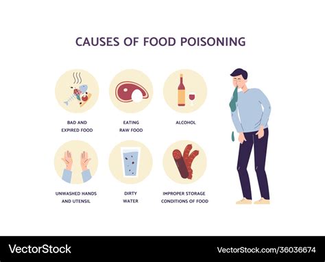 Food Poisoning Causes Flat Infographic Poster Vector Image | sexiezpix ...