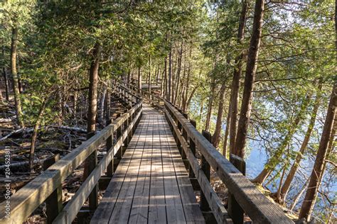 Crawford Lake Boardwalk Stock Photo | Adobe Stock