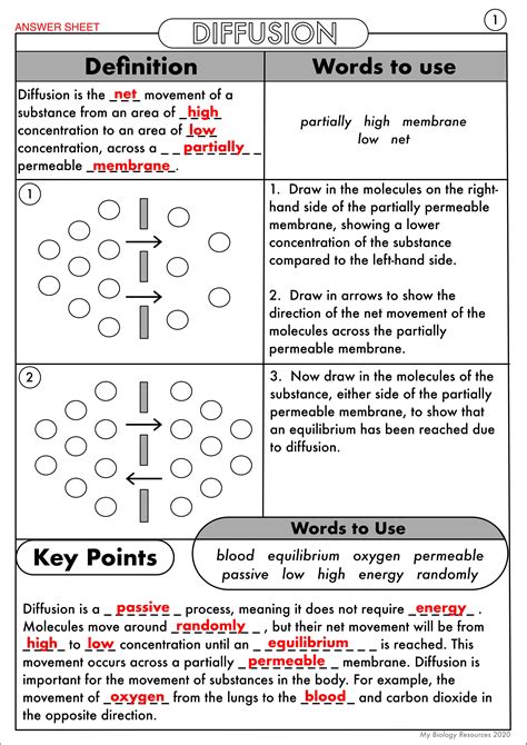 Diffusion And Osmosis Worksheet – Ame.my.id