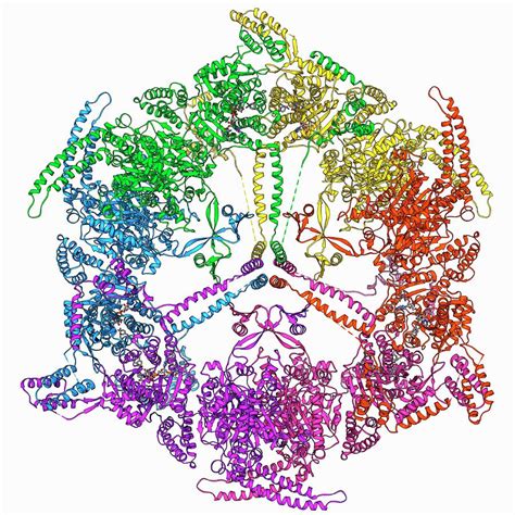 Fatty Acid Synthase Molecule Photograph by Laguna Design/science Photo ...