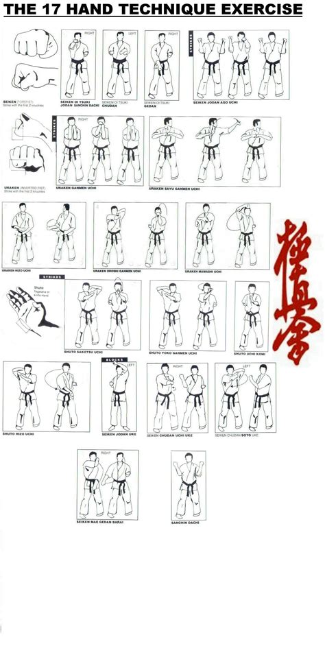 17 Hand Techniques in Kyokushin Karate