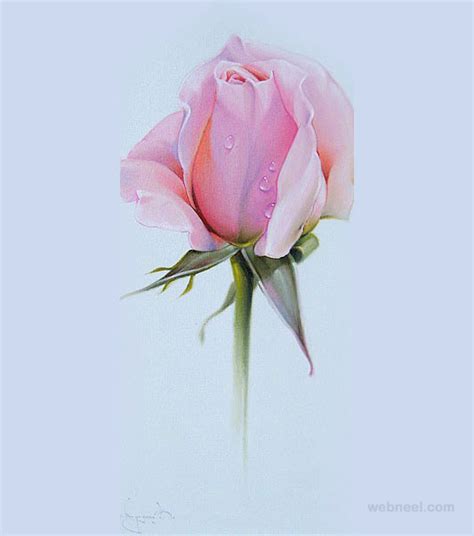 Rose Color Pencil Drawing 7