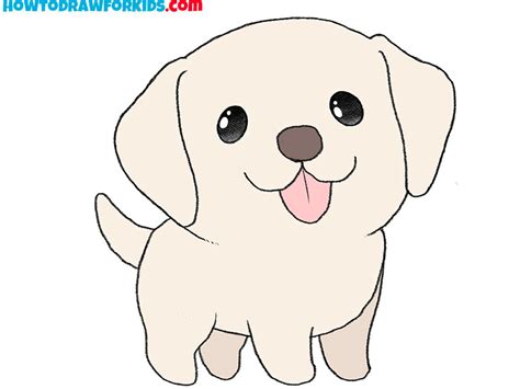 How to Draw a Labrador - Easy Drawing Tutorial For Kids