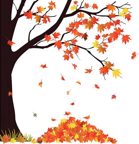 7,800+ Pile Of Leaves Stock Illustrations, Royalty-Free Vector Graphics ...