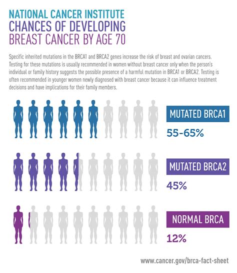 BRCA Testing in Young Cancer Patients - National Cancer Institute